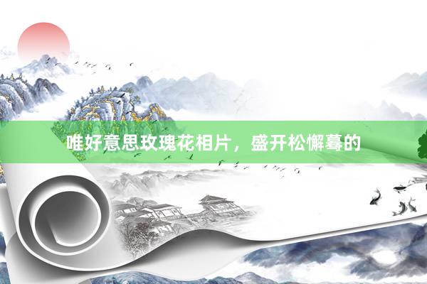 唯好意思玫瑰花相片，盛开松懈蓦的